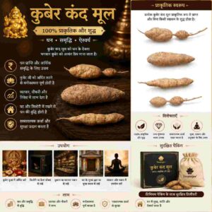 सिद्ध कुबेर कंद मूल (प्राकृतिक एवं ऊर्जीकृत)