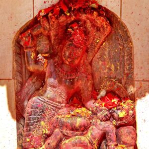 Maa Baglamukhi Puja & Havan – Invoke Divine Protection and Victory 🔥🕉️
