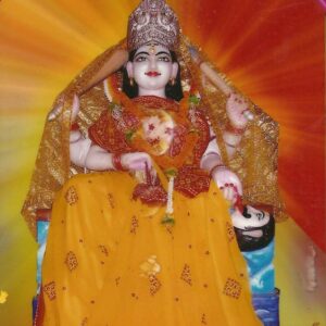 Maa Baglamukhi Puja, Havan, and Sadhana Online Course – Master the Sacred Practices for Divine Protection and Victory 🕉️🔥