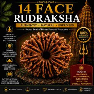 चौदह मुखी रुद्राक्ष (14 Mukhi Rudraksha)