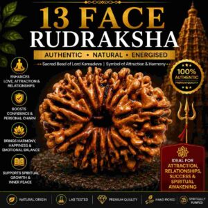 तेरह मुखी रुद्राक्ष (13 Mukhi Rudraksha)