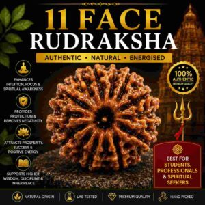 ग्यारह मुखी रुद्राक्ष (11 Mukhi Rudraksha)