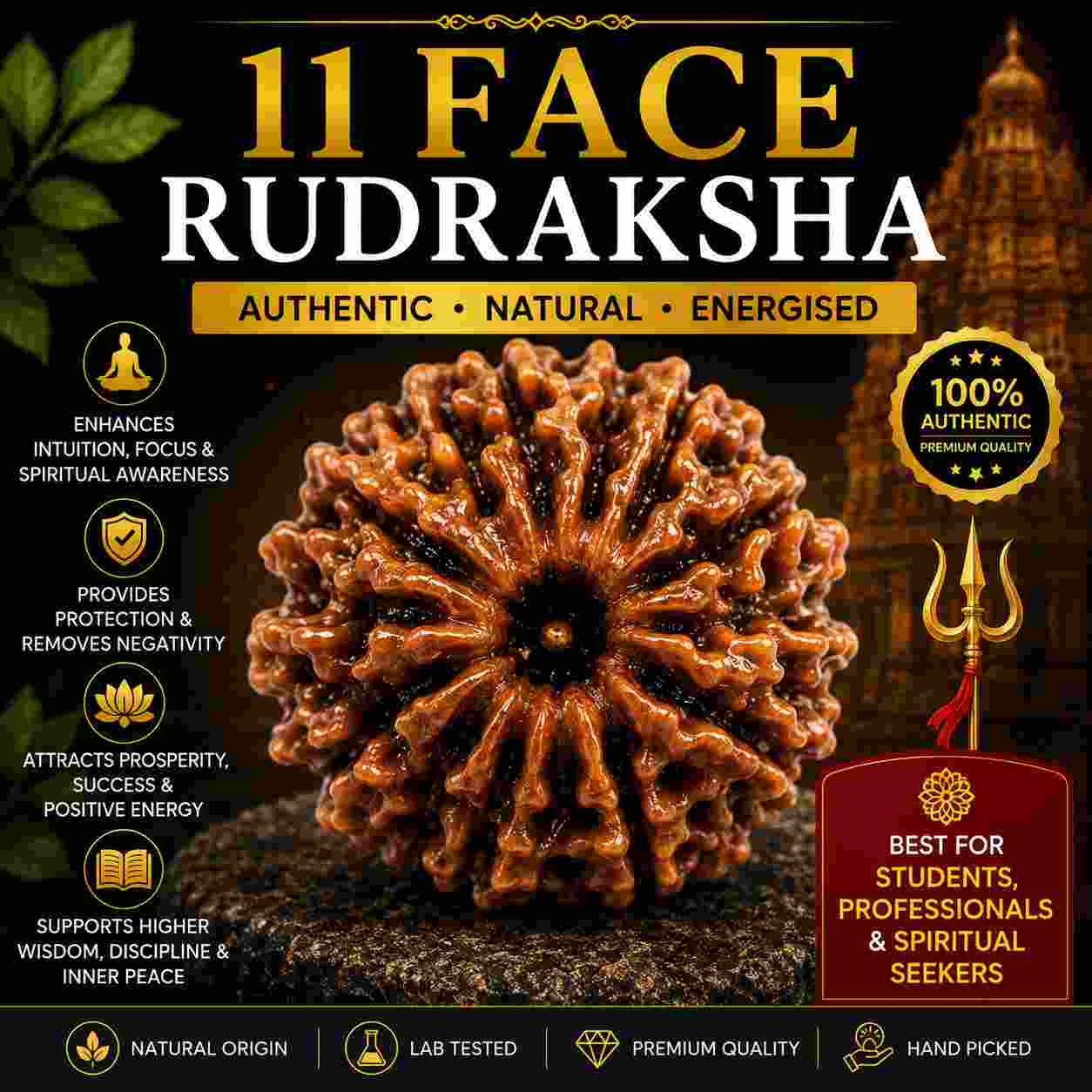 ग्यारह मुखी रुद्राक्ष (11 Mukhi Rudraksha) 1 ग्यारह मुखी रुद्राक्ष (11 Mukhi Rudraksha)