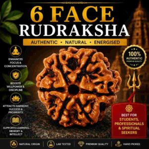 छह मुखी रुद्राक्ष (6 Mukhi Rudraksha)