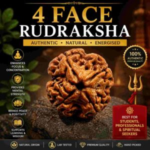 चार मुखी रुद्राक्ष (4 Mukhi Rudraksha)