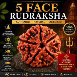 पांच मुखी रुद्राक्ष (5 Mukhi Rudraksha)