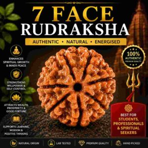सात मुखी रुद्राक्ष (7 Mukhi Rudraksha)