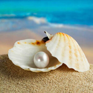 Natural Pearl Stone – Serenity, Purity, and Emotional Balance
