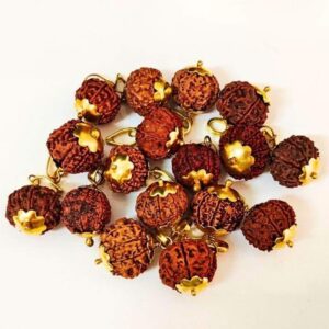 8 Mukhi Rudraksha – The Bead of Success, Obstacles Removal, and Divine Wisdom