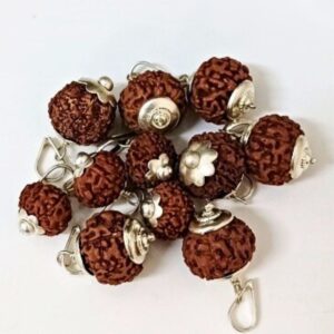 8 Mukhi Rudraksha – The Bead of Success, Obstacles Removal, and Divine Wisdom