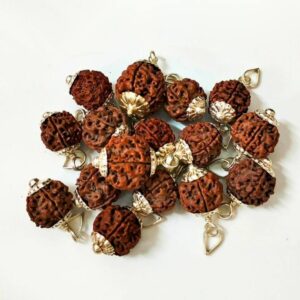 5 Mukhi Rudraksha – The Divine Bead of Peace, Health, and Protection
