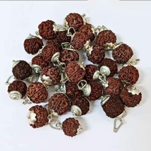 5 Mukhi Rudraksha – The Divine Bead of Peace, Health, and Protection