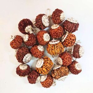 9 Mukhi Rudraksha – The Bead of Power, Protection, and Spiritual Growth