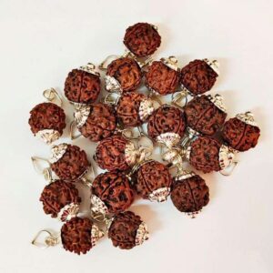 4 Mukhi Rudraksha – The Sacred Bead of Knowledge and Creativity