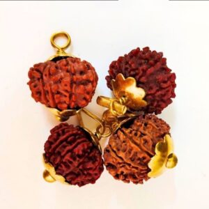 12 Mukhi Rudraksha – The Bead of Leadership, Energy, and Divine Radiance