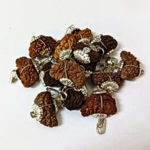 1 Mukhi Rudraksha – The Ultimate Divine Blessing of Lord Shiva