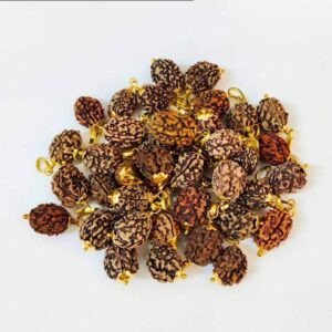 3 Mukhi Rudraksha – Sacred Bead of Power, Purification, and Transformation