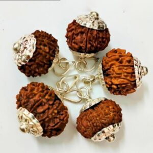 11 Mukhi Rudraksha – The Bead of Courage, Wisdom, and Divine Power