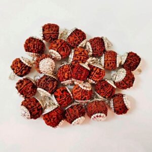 6 Mukhi Rudraksha – The Bead of Wisdom, Strength, and Emotional Balance