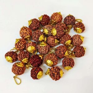 6 Mukhi Rudraksha – The Bead of Wisdom, Strength, and Emotional Balance