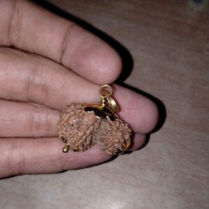 Gauri Shankar Rudraksha – The Divine Bead of Unity, Love, and Spiritual Growth