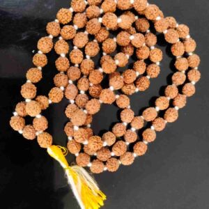 Rudraksha Mala – 108 Beads of Spiritual Energy and Meditation Power