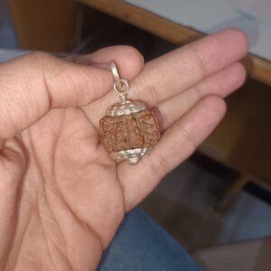 7 Mukhi Rudraksha – The Divine Bead of Wealth, Success, and Emotional Healing