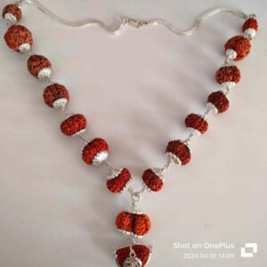 Rudraksha Mala – 108 Beads of Spiritual Energy and Meditation Power